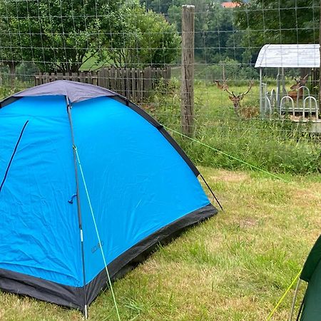 Camping F Selbstversorger Gut Jaegerhof Adults Only Semriach Bagian luar foto